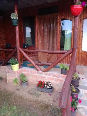 a porch of a log cabin with potted plants at Hacijenda Gane in Soko Banja
