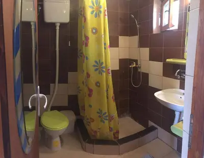 a bathroom with a toilet and a shower curtain at Hacijenda Gane in Soko Banja