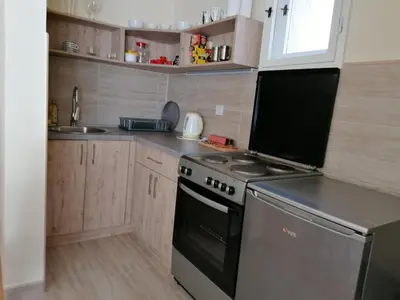 a kitchen with a stove and a sink at Haus Apartman Zaječar M&L in Zaječar