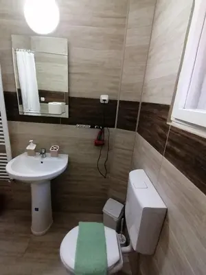 a bathroom with a sink and a toilet and a mirror at Haus Apartman Zaječar M&L in Zaječar