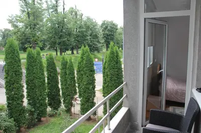 a balcony with a bunch of bushes and trees at Apartman KEJ in Pirot