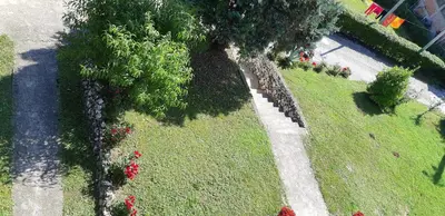 an overhead view of a garden with a tree and flowers at Apartman Kućica za odmor , Drašković in Vrnjačka Banja