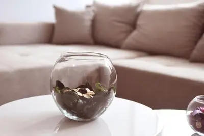a glass vase filled with rocks on a table at Apartman LM in Vrnjačka Banja