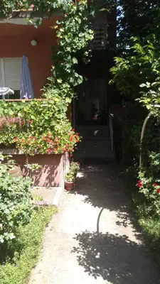 a pathway leading to a house with plants and flowers at Apartmani Mimi in Soko Banja
