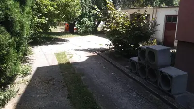 a dirt road with a building and trees and a driveway at Apartmani Mimi in Soko Banja