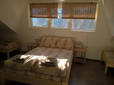 a bedroom with a bed and a couch and two windows at Apartmani Mimi in Soko Banja