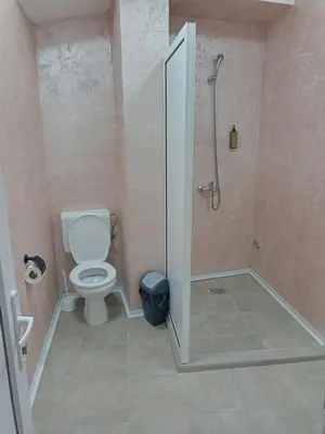 a bathroom with a shower with a toilet and a shower at VILIN in Niš