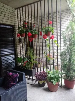 a group of potted plants on a porch at DUŠICA APARTMANI in Jagodina