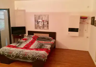 a bedroom with a bed and a television in it at DUŠICA APARTMANI in Jagodina