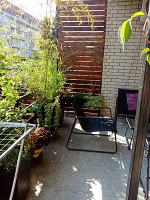 a patio with two chairs and some plants at DUŠICA APARTMANI in Jagodina
