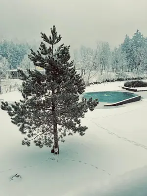 a christmas tree in the snow next to a pool at Hotel Ramonda in Boljevac