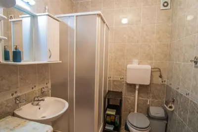 a bathroom with a shower and a toilet and a sink at Apartments Raj in Vrnjačka Banja