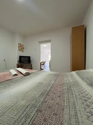 a bedroom with a large bed and a television at Vojin i Lena in Soko Banja