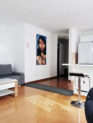 a living room with a couch and a painting on the wall at Lux Studio Apartment Vidanovic in Pirot