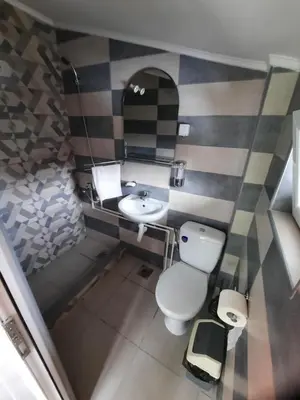 a bathroom with a toilet and a sink and a mirror at Kuca Mihajlovic in Svrljig