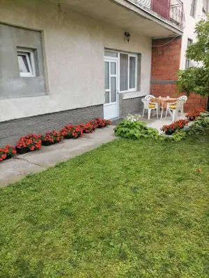 a house with a table and flowers in the yard at Pavicevic in Soko Banja