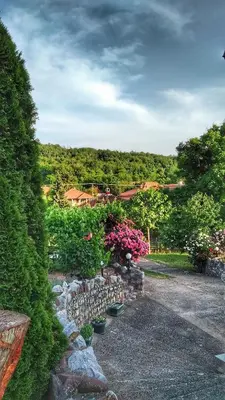 a garden with potted plants and a stone wall at Knez Apartmani in Senje