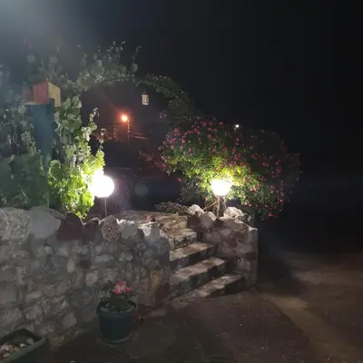 a garden at night with flowers and lights at Knez Apartmani in Senje
