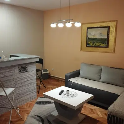 a living room with a couch and a table at Apartmani Marić In in Vrnjačka Banja