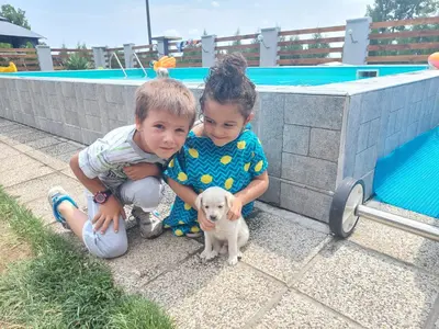 two children sitting next to a small white puppy at Vila Boba Bor in Zlot