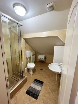 a bathroom with a shower and a toilet and a sink at Apartmani Djokić sa bazenom in Soko Banja