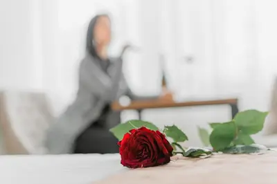 a red rose sitting on top of a table at Sajam B&B in Leskovac