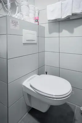 a bathroom with a white toilet and towels at Sajam B&B in Leskovac