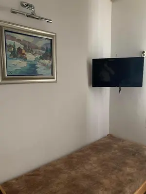 a room with a painting and a tv on a wall at Eco Kop in Kopaonik