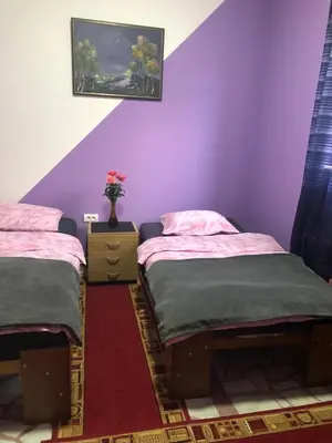 two beds in a room with purple walls at Swiss Hostel in Kruševac