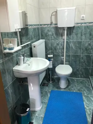 a bathroom with a sink and a toilet at Swiss Hostel in Kruševac