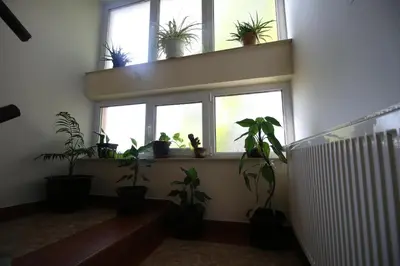 a room with a bunch of potted plants on a window at Hostel Teresianum in Aleksinac