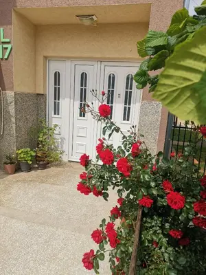 a white door with red flowers in front of a house at Apartman Aleksic in Jagodina