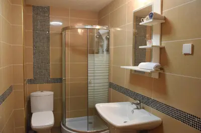 a bathroom with a shower and a toilet and a sink at Apartman Nensy in Vrnjačka Banja