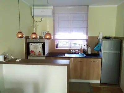 a kitchen with a refrigerator and a sink and a window at apartman Vita in Vrnjačka Banja
