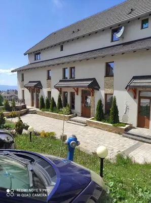 a house with a blue fire hydrant in front of it at Kopaonik Milmari apartman L33 in Kopaonik