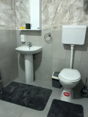 a bathroom with a white toilet and a sink at Aphrodite Hills Apartments-Stara Planina in Crni Vrh