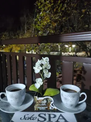 two cups of coffee and a vase with flowers on a table at Vila Čair DOPLATA ZA BAZEN in Soko Banja