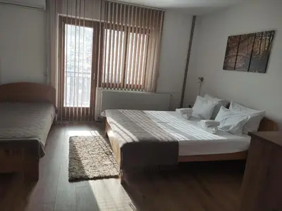 a bedroom with a large bed and two windows at Vila Čair DOPLATA ZA BAZEN in Soko Banja