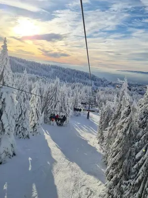 a ski lift in the middle of a snow covered forest at Apartment S&A Milmari Resort S43 in Kopaonik