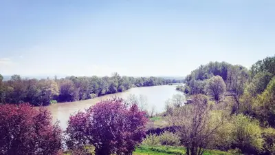a view of a river with trees and flowers at Plaža in Varvarin