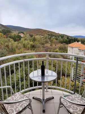 a bottle of wine sitting on a table on a balcony at Sky Apartman in Soko Banja