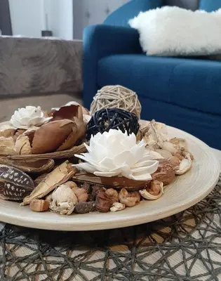 a plate of shells on a table in a living room at Kop Milmari P32 in Kopaonik