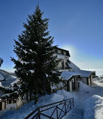 a snow covered christmas tree in front of a building at Dvori E11 Hilltop in Kopaonik