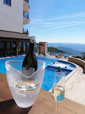 a bottle of wine in a bowl next to a glass at L18 apartment Milmari in Kopaonik