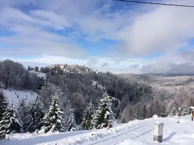 Gallery image of Vila Čajetinski biser -Apartment LUX in Kopaonik