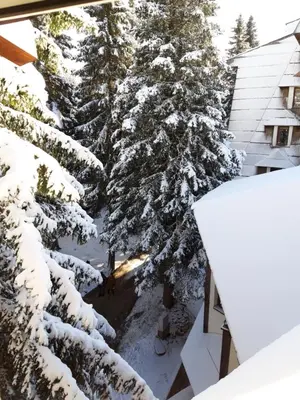 an aerial view of snow covered trees in front of a house at Vila Plan - Centar Kopaonik in Kopaonik