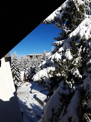 a tree covered in snow next to a building at Vila Plan - Centar Kopaonik in Kopaonik