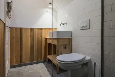 a bathroom with a toilet and a sink at Kostovac Boutique Homes - Sauna in Kopaonik