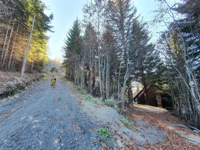 a person walking down a dirt road with trees at VILA PAVLOVIC in Kopaonik