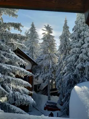 a group of snow covered trees next to a lodge at Vila Plan centar Kopaonik in Kopaonik